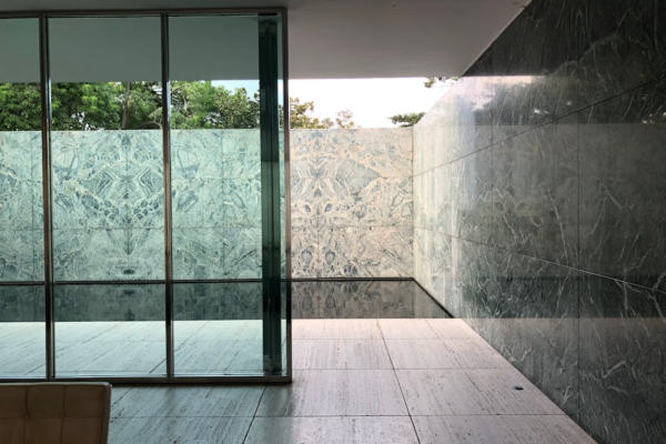 stylish home tint large windows privacy balance